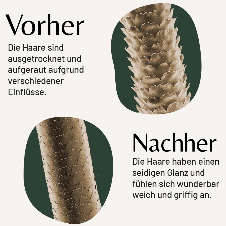 DE_leo-prinz-wildschweinborstenbuerste-vorher-nachher-vergleich.jpg