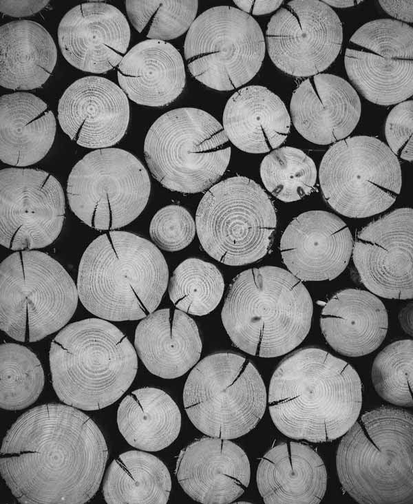 selecting-wood-leo-prinz-haarbuerste-kebony-walnuss-wildschweinborstenbuerste-01a.jpg