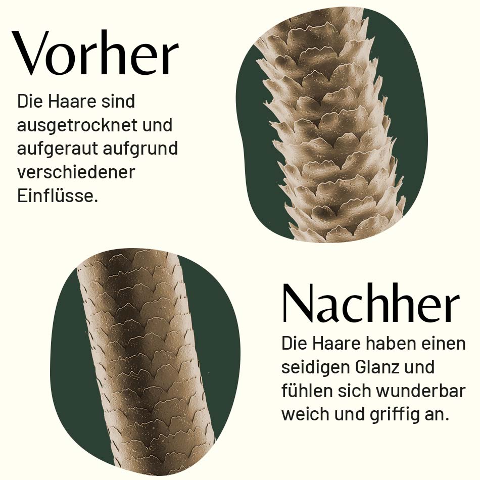 Vorher-Nachher Vergleich zur Haarpflege mit Handeingezogener Wildschweinborstenbürste für glänzende, gesunde Haare.