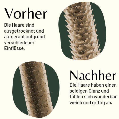 Wie das Bürsten mit eine Wildschweinborsten Haarbürste die Haarstruktur repariert.